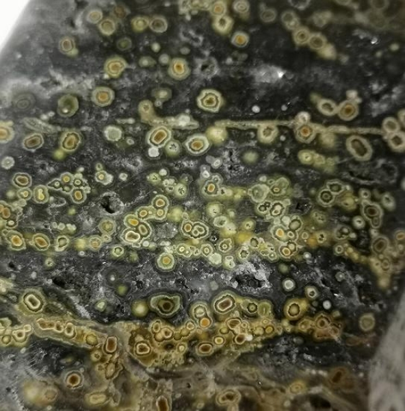 Ocean Jaspis orbicular